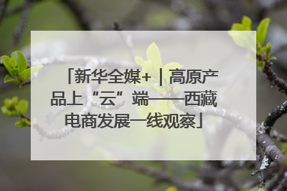 新华全媒+｜高原产品上“云”端——西藏电商发展一线观察