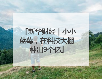 新华财经｜小小蓝莓，在科技大棚种出9个亿