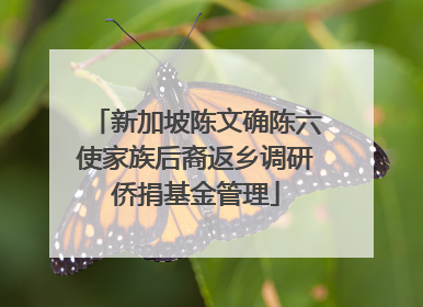 新加坡陈文确陈六使家族后裔返乡调研侨捐基金管理