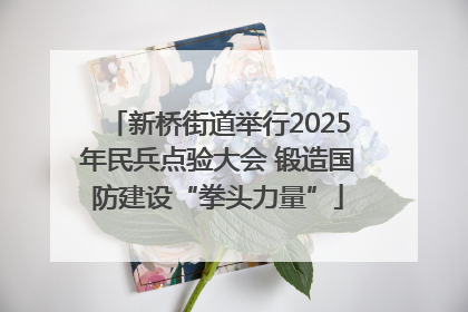新桥街道举行2025年民兵点验大会 锻造国防建设“拳头力量”
