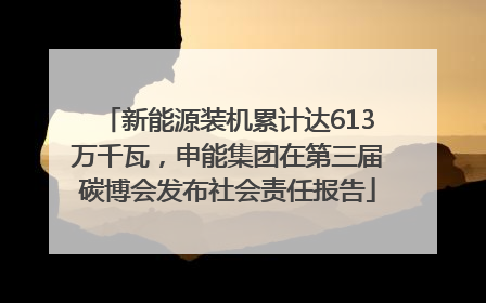 新能源装机累计达613万千瓦，申能集团在第三届碳博会发布社会责任报告