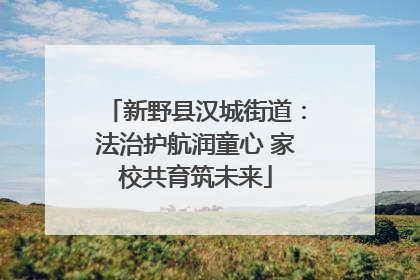 新野县汉城街道：法治护航润童心 家校共育筑未来