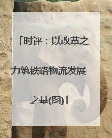时评：以改革之力筑铁路物流发展之基(图)
