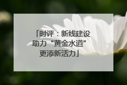 时评：新线建设助力“黄金水道”更添新活力