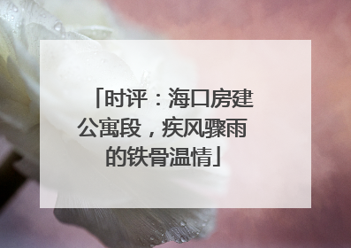 时评：海口房建公寓段，疾风骤雨的铁骨温情