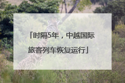 时隔5年，中越国际旅客列车恢复运行