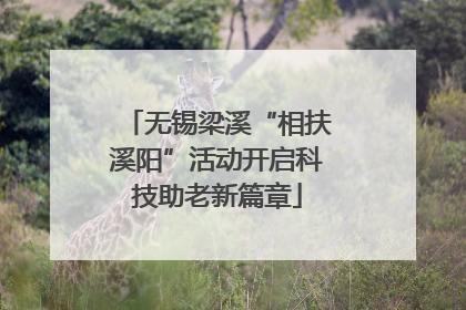 无锡梁溪“相扶溪阳”活动开启科技助老新篇章