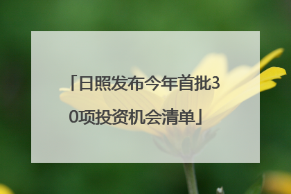 日照发布今年首批30项投资机会清单