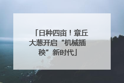 日种四亩！章丘大葱开启“机械插秧”新时代