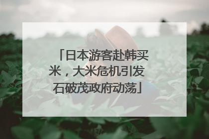 日本游客赴韩买米，大米危机引发石破茂政府动荡