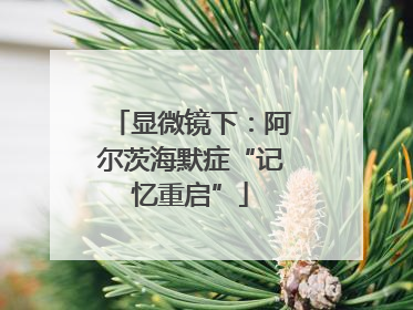 显微镜下：阿尔茨海默症“记忆重启”