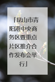 昆山市青阳港中央商务区暨重点片区推介合作发布会举行