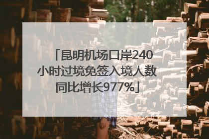 昆明机场口岸240小时过境免签入境人数同比增长977%