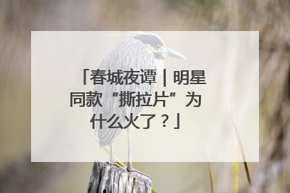 春城夜谭｜明星同款“撕拉片”为什么火了？