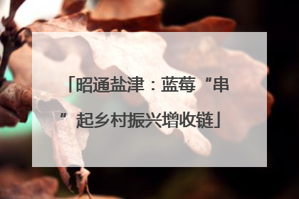 昭通盐津：蓝莓“串”起乡村振兴增收链