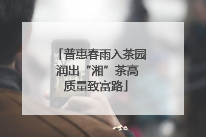 普惠春雨入茶园 润出“湘”茶高质量致富路