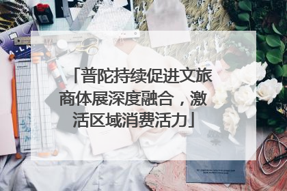 普陀持续促进文旅商体展深度融合，激活区域消费活力