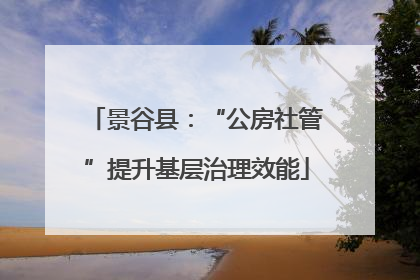 景谷县：“公房社管”提升基层治理效能
