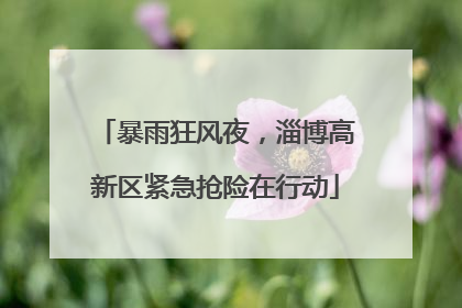 暴雨狂风夜，淄博高新区紧急抢险在行动