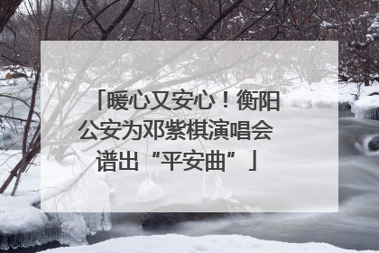 暖心又安心！衡阳公安为邓紫棋演唱会谱出“平安曲”