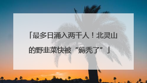 最多日涌入两千人！北灵山的野韭菜快被“薅秃了”