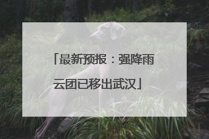 最新预报：强降雨云团已移出武汉