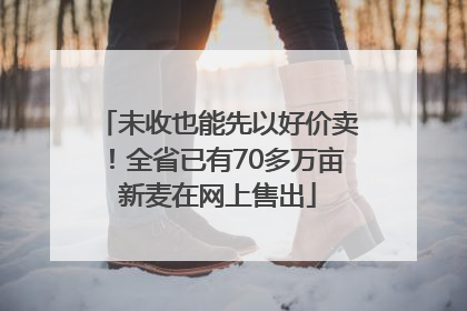 未收也能先以好价卖！全省已有70多万亩新麦在网上售出
