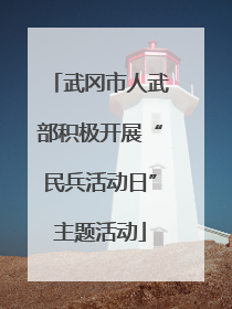 武冈市人武部积极开展“民兵活动日”主题活动
