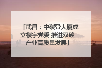 武昌：中碳登大厦成立楼宇党委 推进双碳产业高质量发展