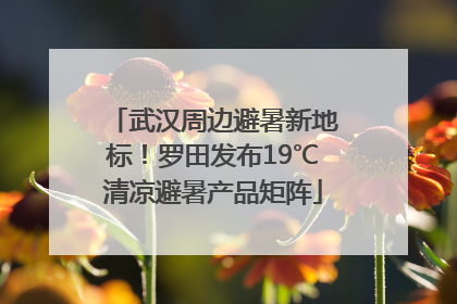 武汉周边避暑新地标！罗田发布19℃清凉避暑产品矩阵