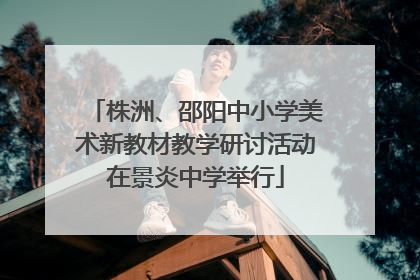 株洲、邵阳中小学美术新教材教学研讨活动在景炎中学举行