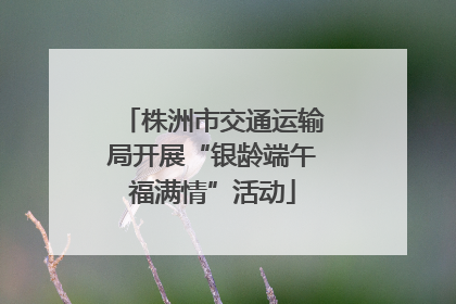 株洲市交通运输局开展“银龄端午福满情”活动