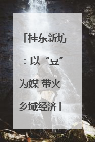 桂东新坊：以“豆”为媒 带火乡域经济