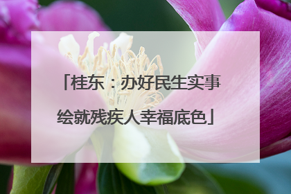 桂东：办好民生实事 绘就残疾人幸福底色
