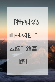 桂西北高山村寨的“云端”致富路