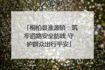 桐柏县淮源镇：筑牢道路安全防线 守护群众出行平安