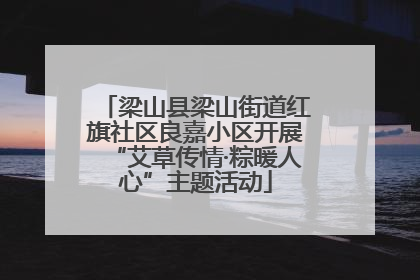 梁山县梁山街道红旗社区良嘉小区开展“艾草传情·粽暖人心”主题活动