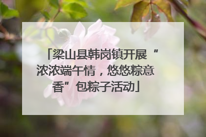 梁山县韩岗镇开展“浓浓端午情，悠悠粽意香”包粽子活动