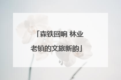 森铁回响 林业老镇的文旅新韵