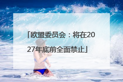 欧盟委员会：将在2027年底前全面禁止