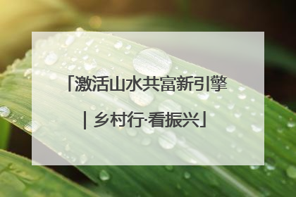 激活山水共富新引擎｜乡村行·看振兴