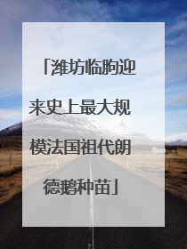 潍坊临朐迎来史上最大规模法国祖代朗德鹅种苗
