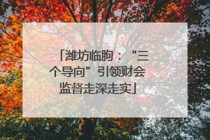 潍坊临朐：“三个导向”引领财会监督走深走实