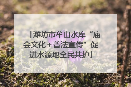潍坊市牟山水库“庙会文化＋普法宣传”促进水源地全民共护