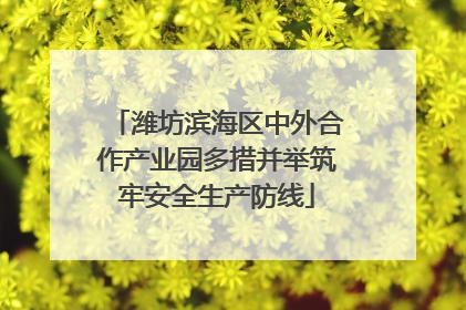 潍坊滨海区中外合作产业园多措并举筑牢安全生产防线