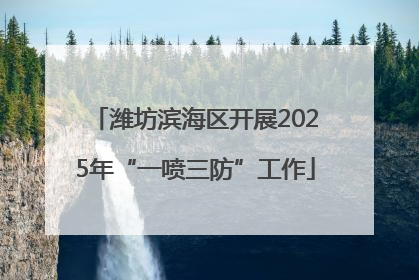 潍坊滨海区开展2025年“一喷三防”工作