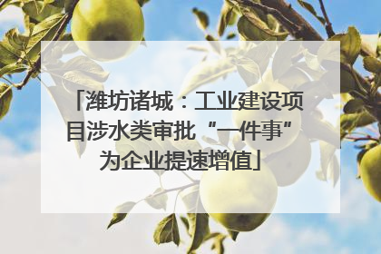 潍坊诸城：工业建设项目涉水类审批“一件事” 为企业提速增值