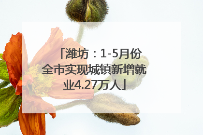 潍坊：1-5月份全市实现城镇新增就业4.27万人
