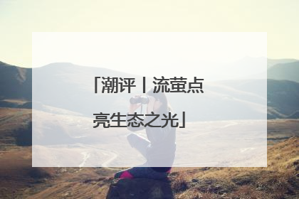 潮评丨流萤点亮生态之光