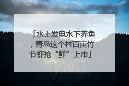 水上发电水下养鱼，青岛这个村百亩竹节虾抢“鲜”上市